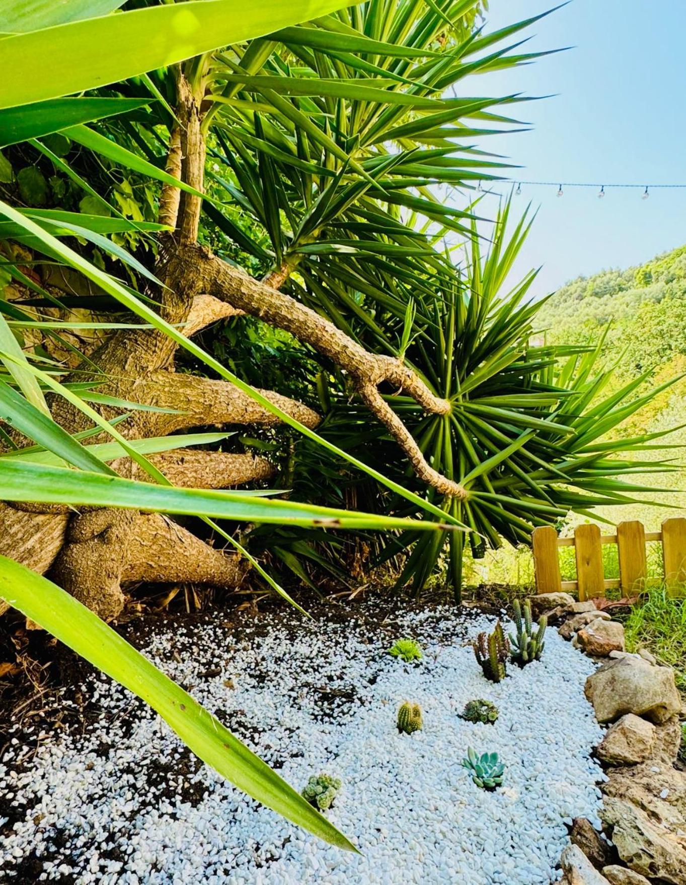 Casa Olive 53 Mare Villa ลาสเปเซีย ภายนอก รูปภาพ
