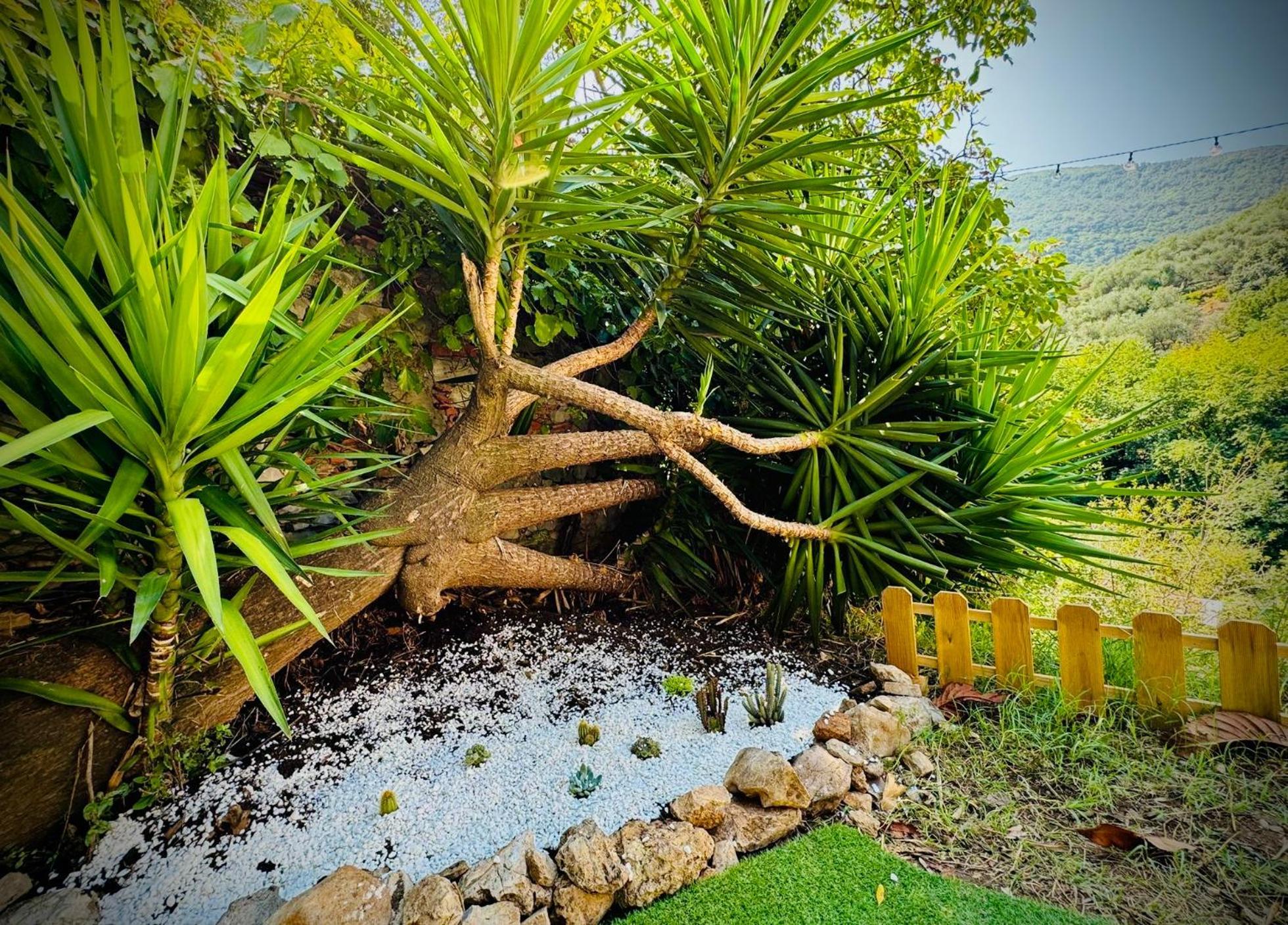 Casa Olive 53 Mare Villa ลาสเปเซีย ภายนอก รูปภาพ